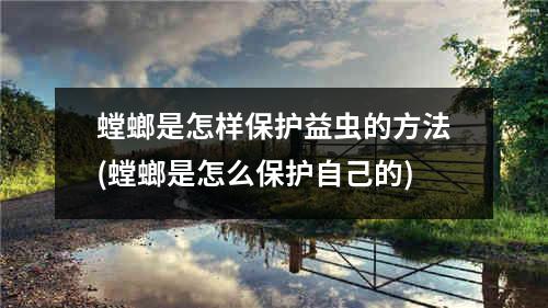 螳螂是怎样保护益虫的方法(螳螂是怎么保护自己的)