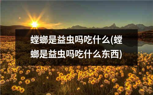 螳螂是益虫吗吃什么(螳螂是益虫吗吃什么东西)