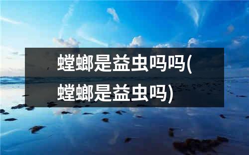 螳螂是益虫吗吗(螳螂是益虫吗)