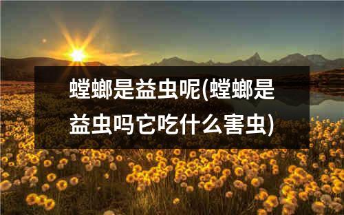 螳螂是益虫呢(螳螂是益虫吗它吃什么害虫)