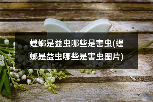 螳螂是益虫哪些是害虫(螳螂是益虫哪些是害虫图片)