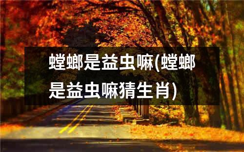 螳螂是益虫嘛(螳螂是益虫嘛猜生肖)