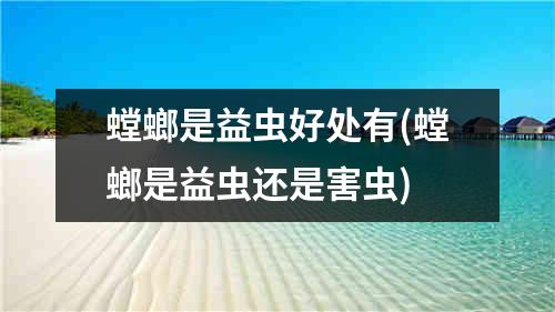 螳螂是益虫好处有(螳螂是益虫还是害虫)