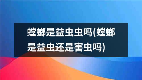 螳螂是益虫虫吗(螳螂是益虫还是害虫吗)