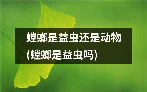 螳螂是益虫还是动物(螳螂是益虫吗)