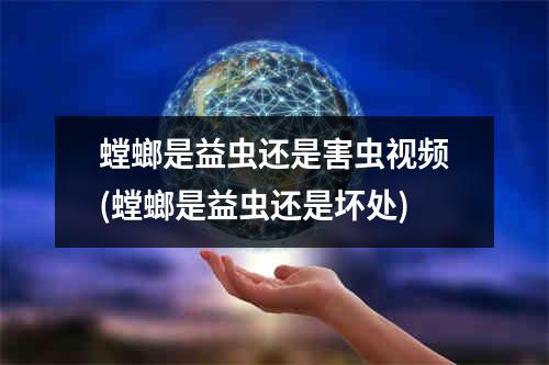 螳螂是益虫还是害虫视频(螳螂是益虫还是坏处)