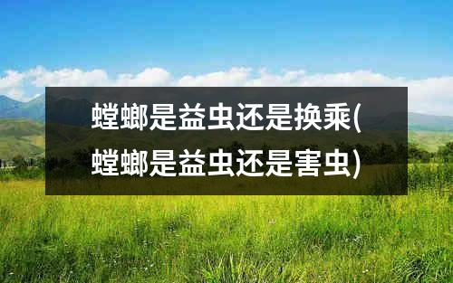 螳螂是益虫还是换乘(螳螂是益虫还是害虫)