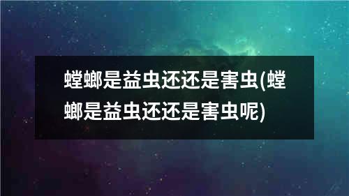 螳螂是益虫还还是害虫(螳螂是益虫还还是害虫呢)