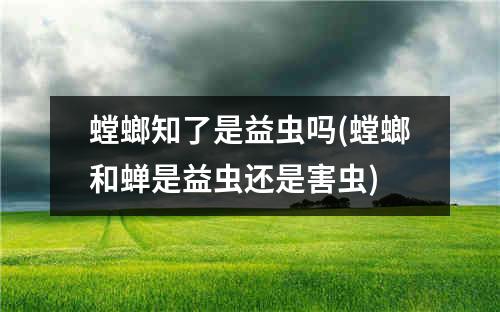 螳螂知了是益虫吗(螳螂和蝉是益虫还是害虫)