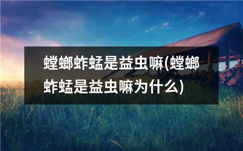 螳螂蚱蜢是益虫嘛(螳螂蚱蜢是益虫嘛为什么)