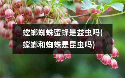 螳螂蜘蛛蜜蜂是益虫吗(螳螂和蜘蛛是昆虫吗)