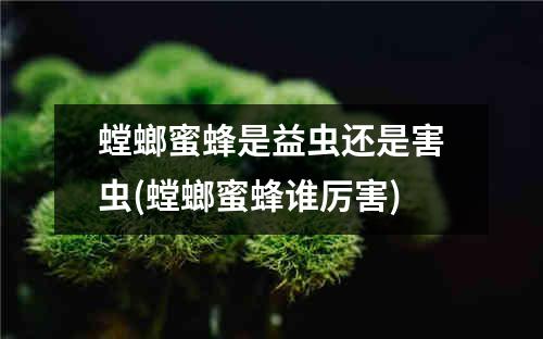 螳螂蜜蜂是益虫还是害虫(螳螂蜜蜂谁厉害)