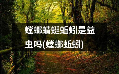 螳螂蜻蜓蚯蚓是益虫吗(螳螂蚯蚓)