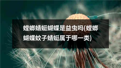 螳螂蜻蜓蝴蝶是益虫吗(螳螂蝴蝶蚊子蜻蜓属于哪一类)