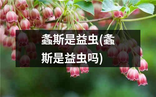 螽斯是益虫(螽斯是益虫吗)