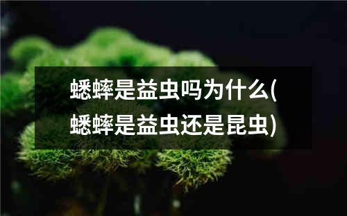 蟋蟀是益虫吗为什么(蟋蟀是益虫还是昆虫)