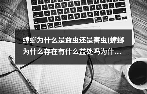 蟑螂为什么是益虫还是害虫(蟑螂为什么存在有什么益处吗为什么不消灭)