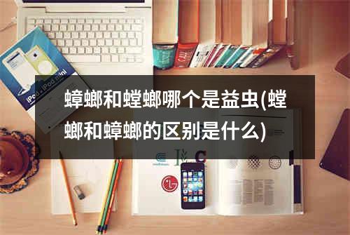 蟑螂和螳螂哪个是益虫(螳螂和蟑螂的区别是什么)