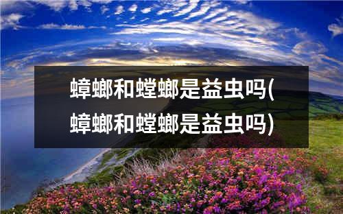 蟑螂和螳螂是益虫吗(蟑螂和螳螂是益虫吗)