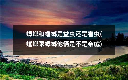 蟑螂和螳螂是益虫还是害虫(螳螂跟蟑螂他俩是不是亲戚)