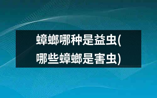 蟑螂哪种是益虫(哪些蟑螂是害虫)