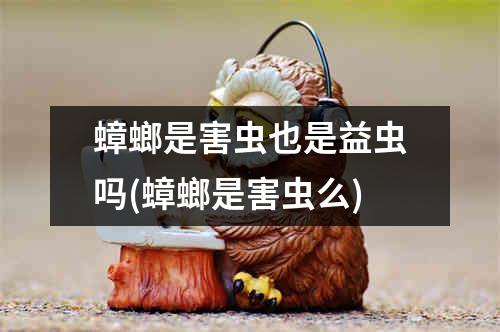 蟑螂是害虫也是益虫吗(蟑螂是害虫么)