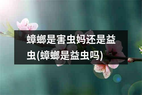 蟑螂是害虫妈还是益虫(蟑螂是益虫吗)