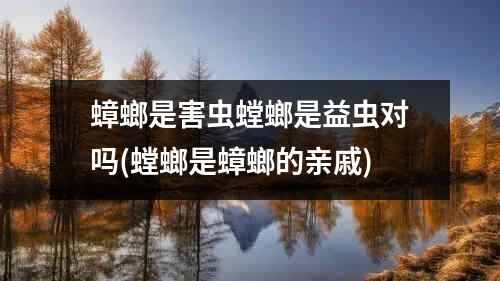 蟑螂是害虫螳螂是益虫对吗(螳螂是蟑螂的亲戚)