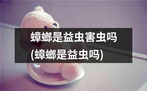 蟑螂是益虫害虫吗(蟑螂是益虫吗)