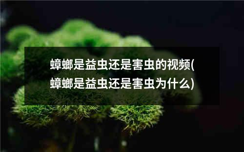 蟑螂是益虫还是害虫的视频(蟑螂是益虫还是害虫为什么)