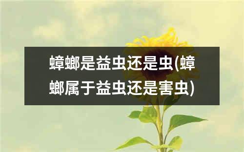 蟑螂是益虫还是虫(蟑螂属于益虫还是害虫)