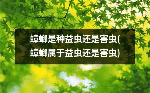 蟑螂是种益虫还是害虫(蟑螂属于益虫还是害虫)