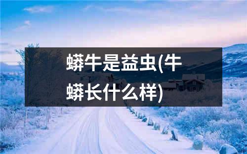 蟒牛是益虫(牛蟒长什么样)