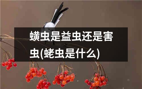 蟥虫是益虫还是害虫(蛯虫是什么)