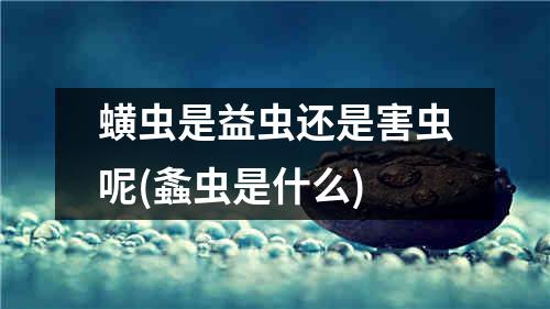 蟥虫是益虫还是害虫呢(螽虫是什么)