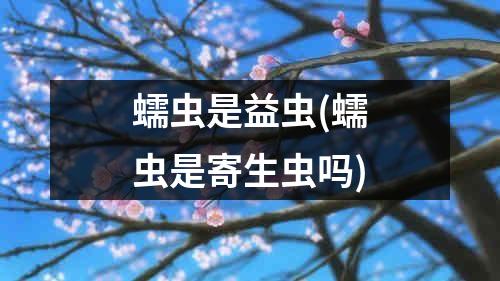 蠕虫是益虫(蠕虫是寄生虫吗)