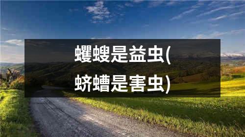 蠼螋是益虫(蛴螬是害虫)