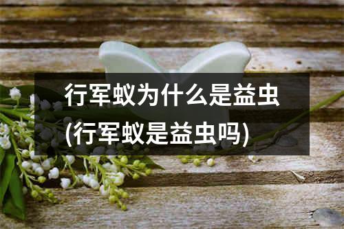 行军蚁为什么是益虫(行军蚁是益虫吗)