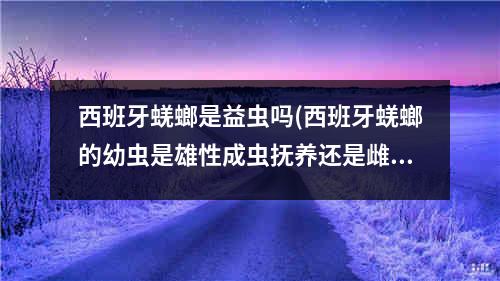 西班牙蜣螂是益虫吗(西班牙蜣螂的幼虫是雄性成虫抚养还是雌性)