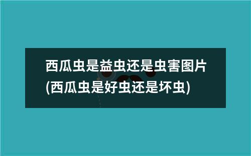 西瓜虫是益虫还是虫害图片(西瓜虫是好虫还是坏虫)