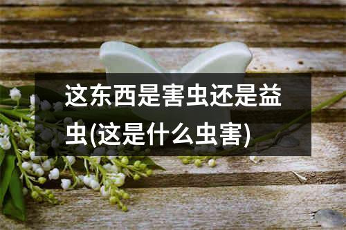 这东西是害虫还是益虫(这是什么虫害)