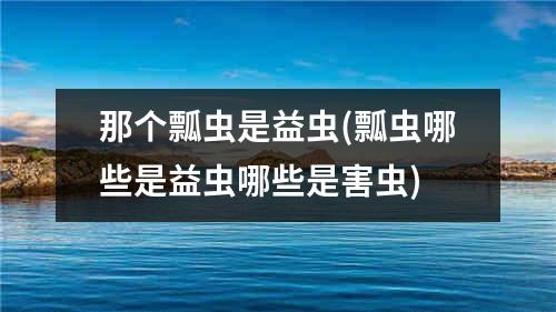 那个瓢虫是益虫(瓢虫哪些是益虫哪些是害虫)