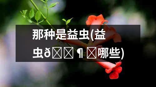 那种是益虫(益虫                          </div>
                          
                            <!--这里是TAG标签-->
                          <div class=