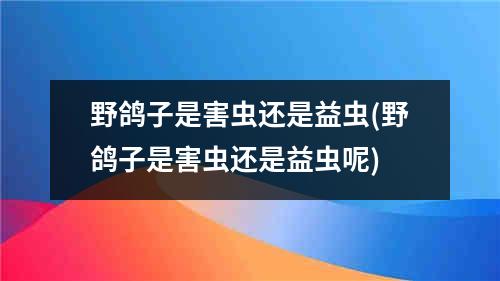 野鸽子是害虫还是益虫(野鸽子是害虫还是益虫呢)