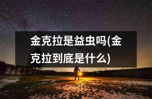 金克拉是益虫吗(金克拉到底是什么)