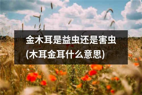 金木耳是益虫还是害虫(木耳金耳什么意思)