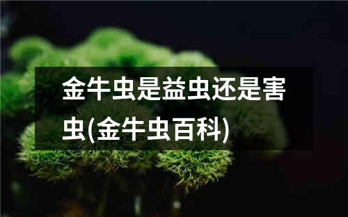 金牛虫是益虫还是害虫(金牛虫百科)