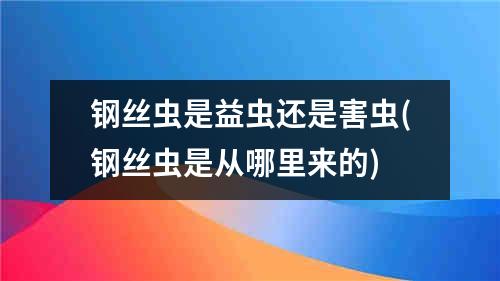 钢丝虫是益虫还是害虫(钢丝虫是从哪里来的)