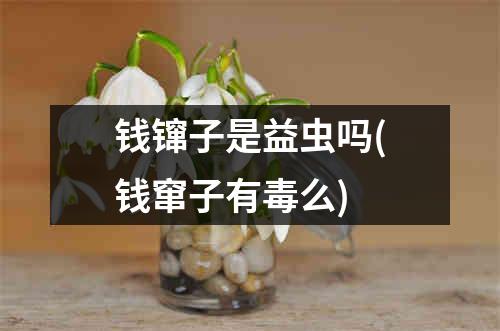 钱镩子是益虫吗(钱窜子有毒么)