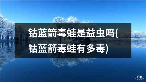 钴蓝箭毒蛙是益虫吗(钴蓝箭毒蛙有多毒)